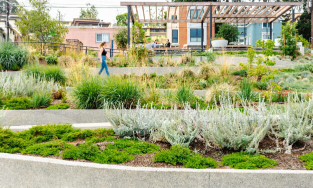 Repurposing Urban Lots & Waterfronts: Ashland Grove Park, Palo Alto Levee, and India Basin