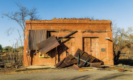 After The Fire: Scenes from Chinese Camp