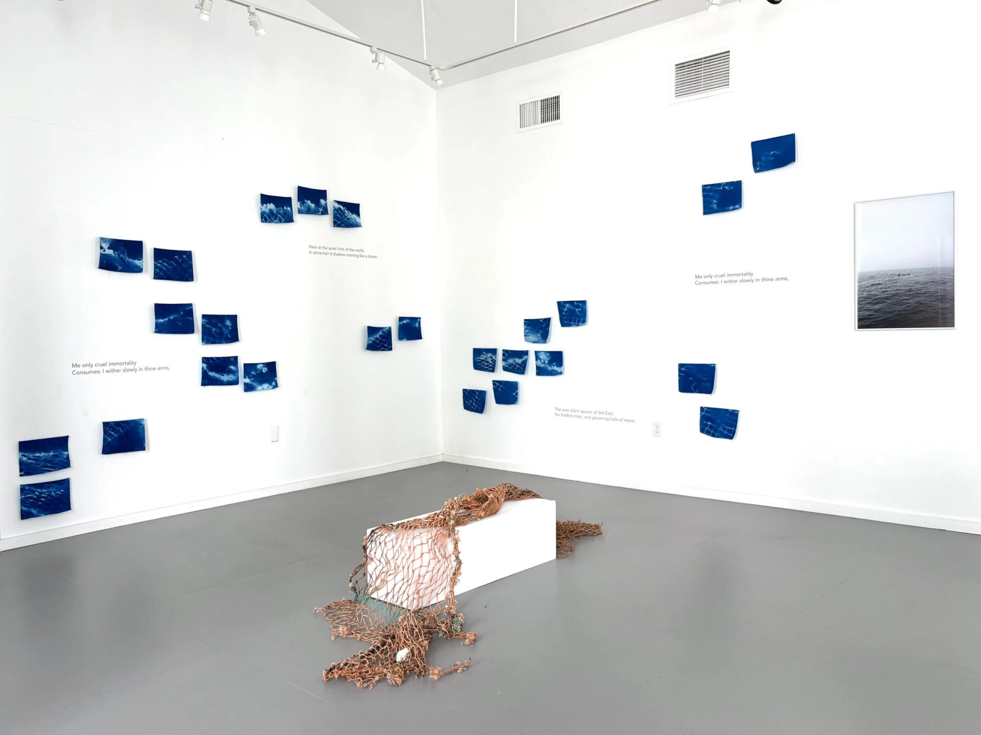 Courtney Griffith's “Cruel Immortality" ghost net exhibition.