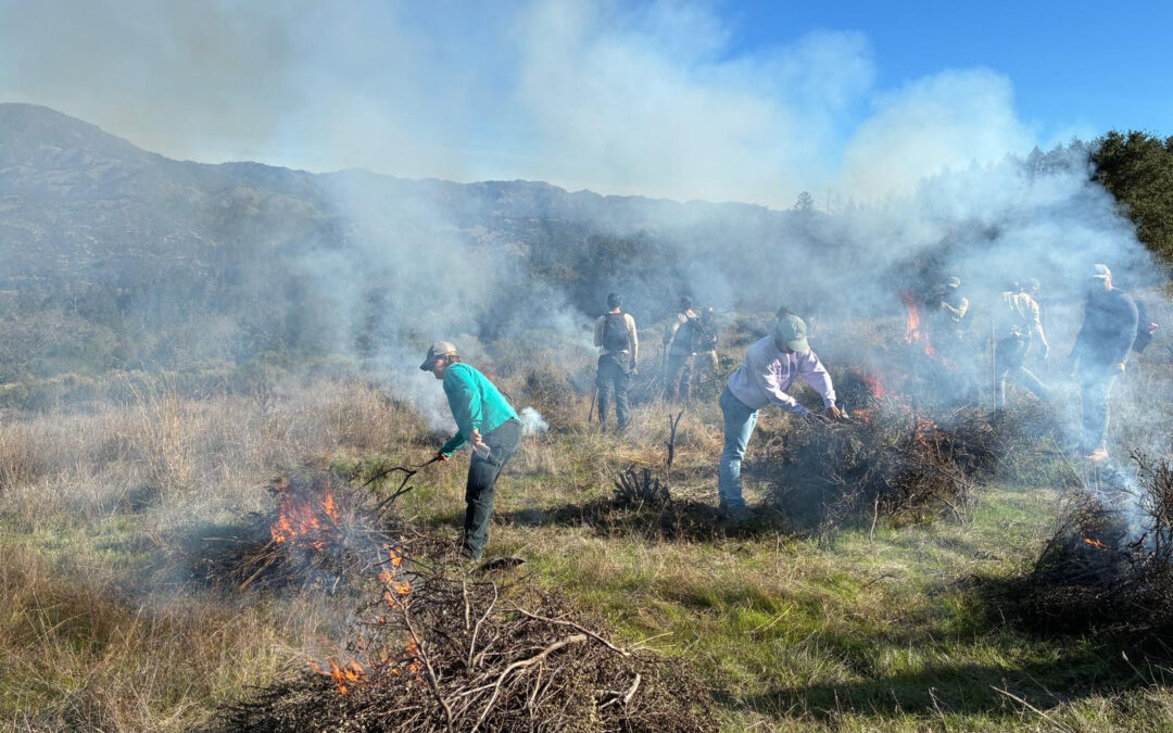 Learning the Art of Burning to Prevent Wildfire