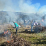 Learning the Art of Burning to Prevent Wildfire