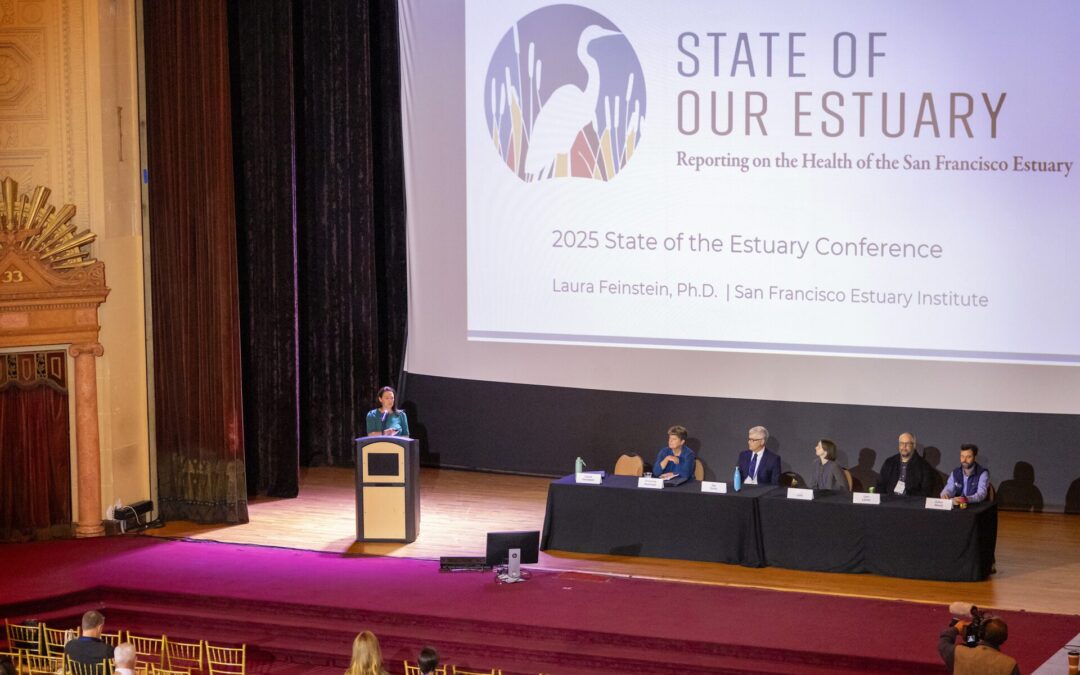 Split Verdict Over State of the Estuary