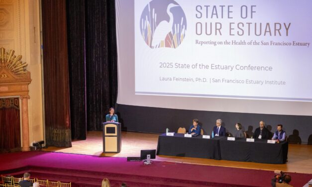 Split Verdict Over State of the Estuary