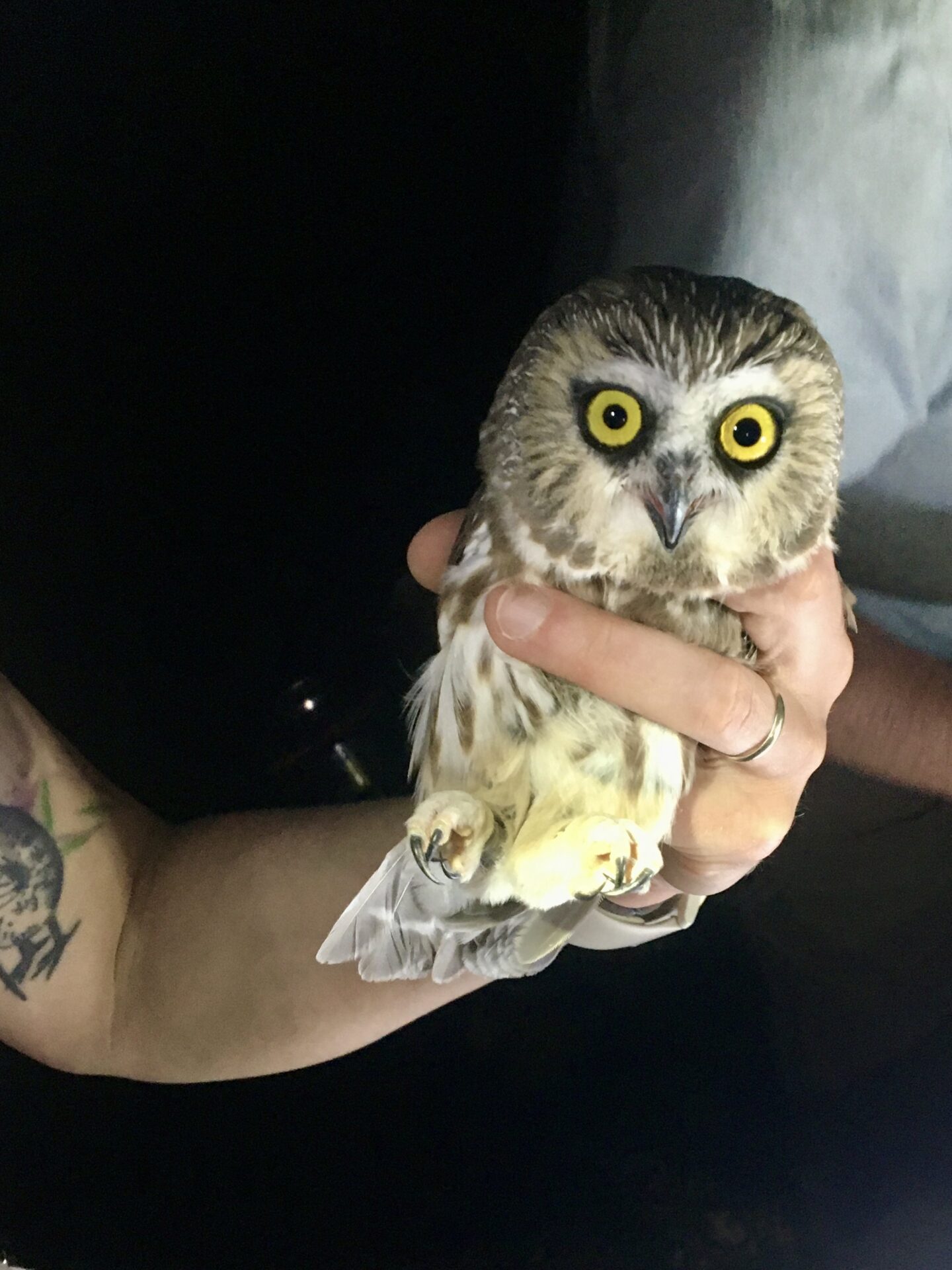 IMG_9584 Program manager Anne Crealock and crew leader Brian McCarthy review clearing for fuel break. Photo: Jacoba Charles