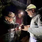 Volunteers Catch and Release Tiny Owls For Science