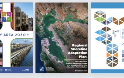 Regional Resilience Plans