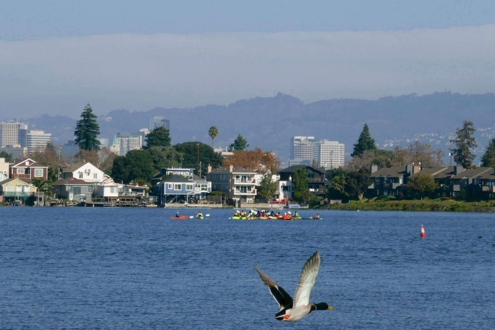 Crealock and McCarthy at a local stable near Fairfax, where beloved horses remain at risk in a fast-moving fire. 