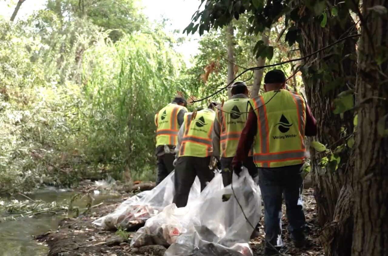 Workers in yellow vasts carrying trash bags to collect litter in the woods