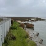 New Study Teases Out Seawall Impacts