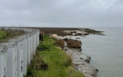 New Study Teases Out Seawall Impacts