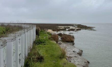 New Study Teases Out Seawall Impacts