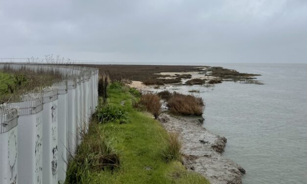 New Study Teases Out Seawall Impacts