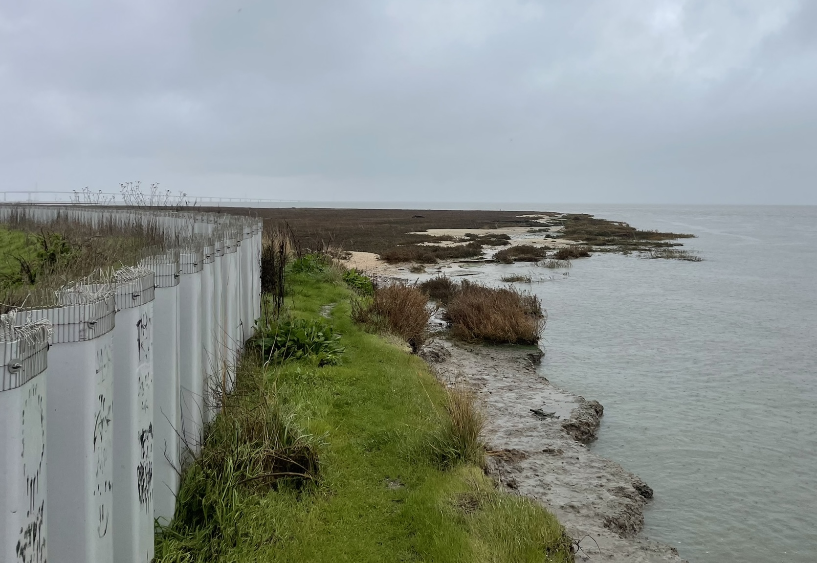 Shoreline on right with flood wall on the left in Redwood Shores