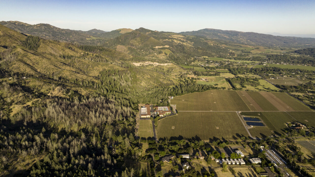 Sonoma vineyards and greenbelt.