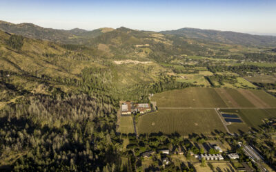 Weaving Fire Protection Out Of What’s Already There