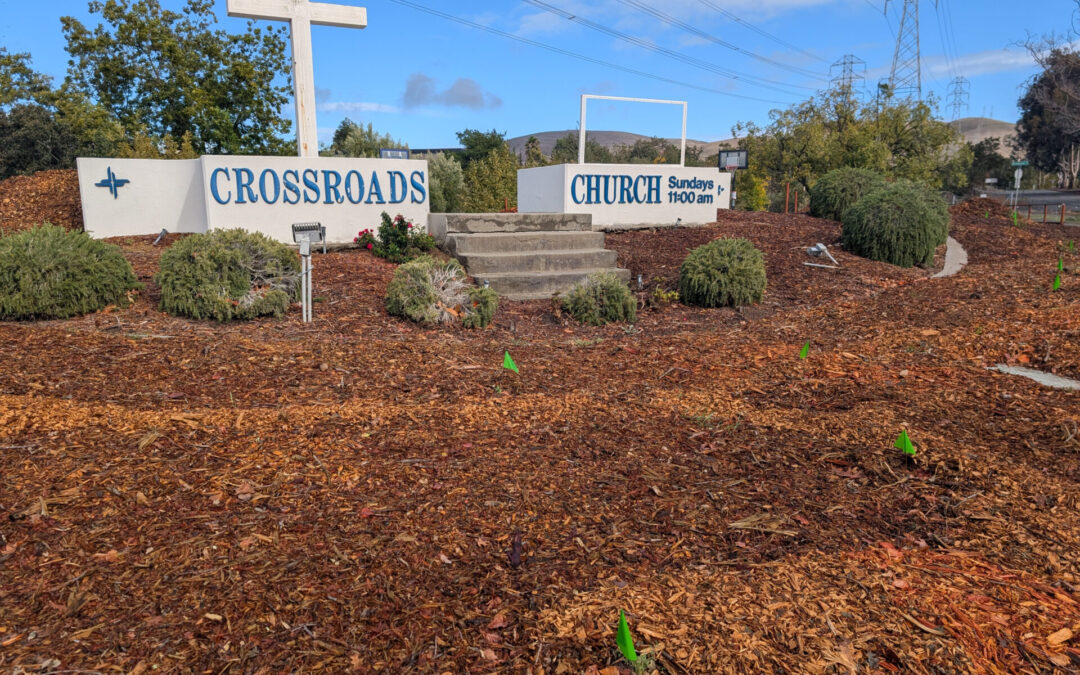 Fall Plantings Build Pollinator Habitats in Concord