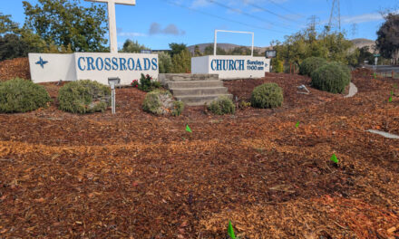 Fall Plantings Build Pollinator Habitats in Concord