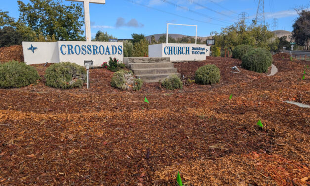 Fall Plantings Build Pollinator Habitats in Concord