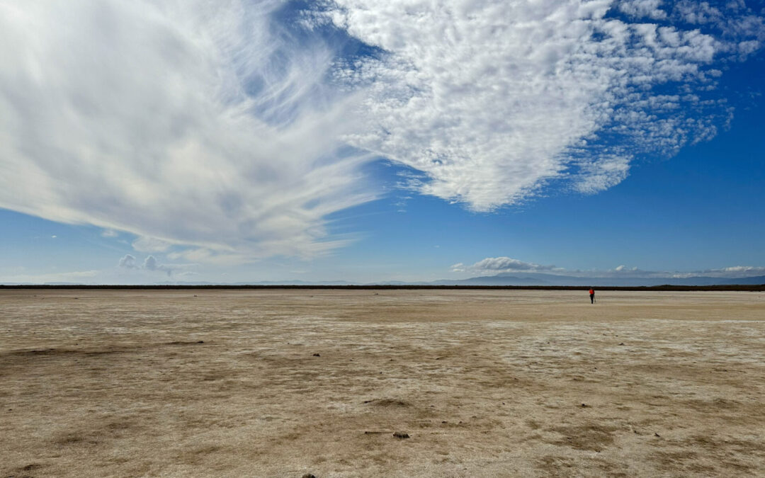 Reforming Rules to Speed Adaptation