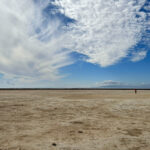 Reforming Rules to Speed Adaptation