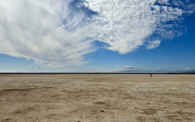 Reforming Rules to Speed Adaptation