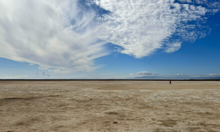 Reforming Rules to Speed Adaptation