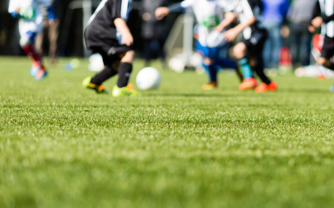 What You Need to Know About Artificial Turf