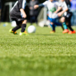 What You Need to Know About Artificial Turf