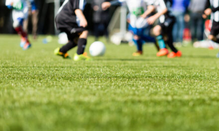 What You Need to Know About Artificial Turf