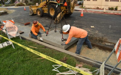 Hardscapes That Filter Rain
