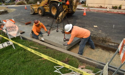 Hardscapes That Filter Rain