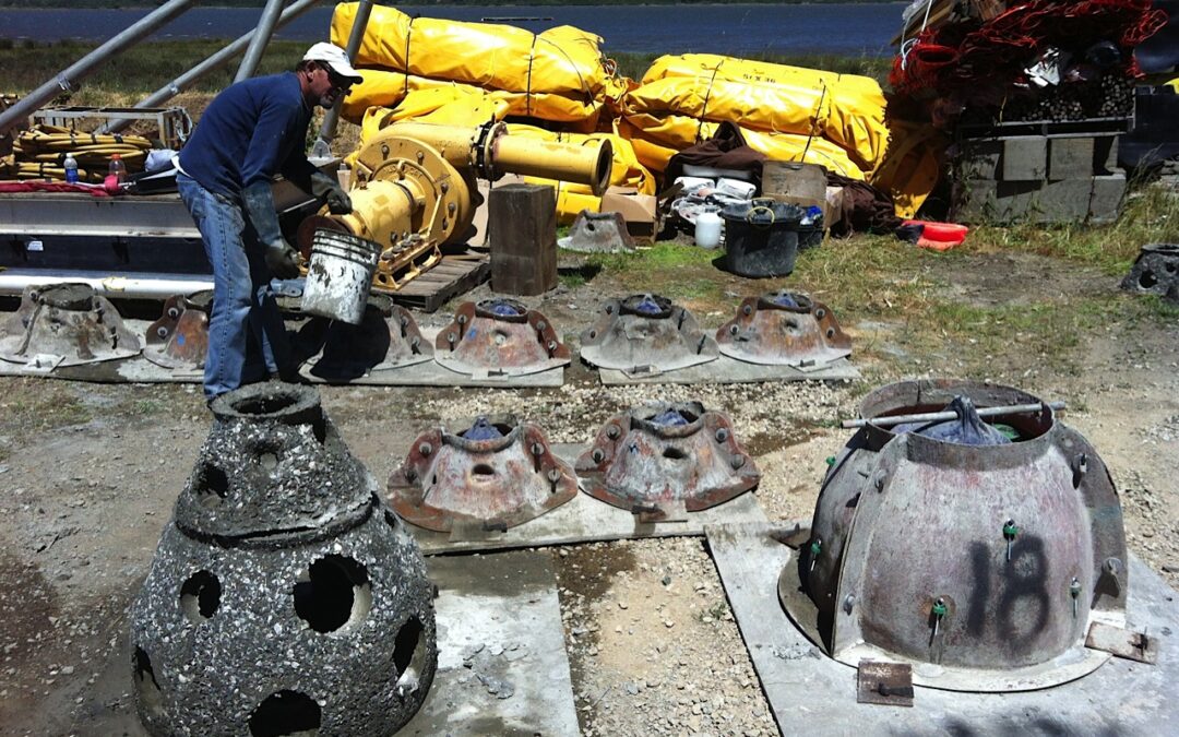 The Gray-Green Alchemy of Baycrete