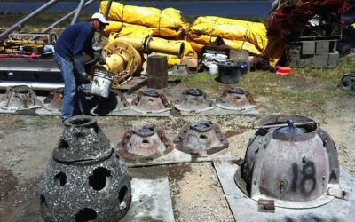 The Gray-Green Alchemy of Baycrete