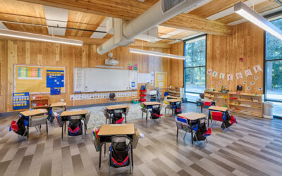 Building Sustainably with Mass Timber 