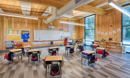 Building Sustainably with Mass Timber 