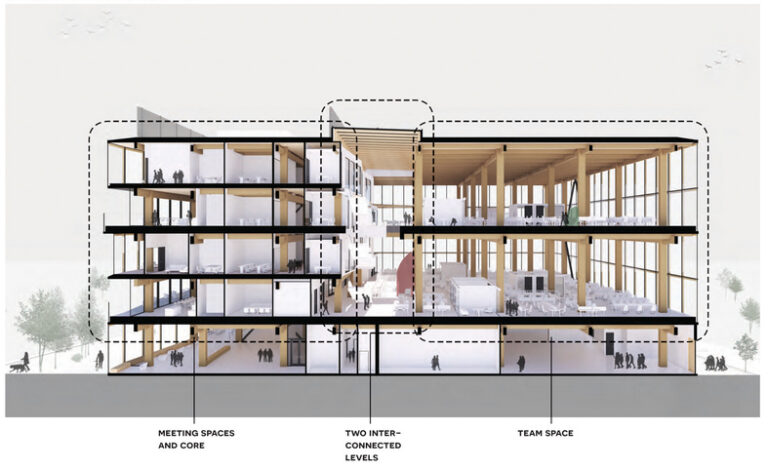 Deep Timber How Mass Timber Construction Supports Healthy Forests