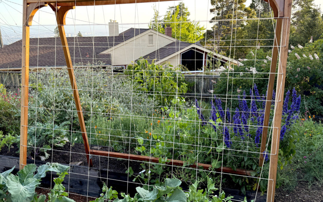 Easy Spring Vegetables for Small Gardens