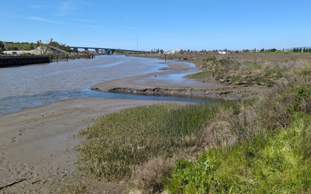 The Nuances of Tapping North Bay Sediment Supplies