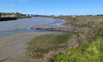 The Nuances of Tapping North Bay Sediment Supplies