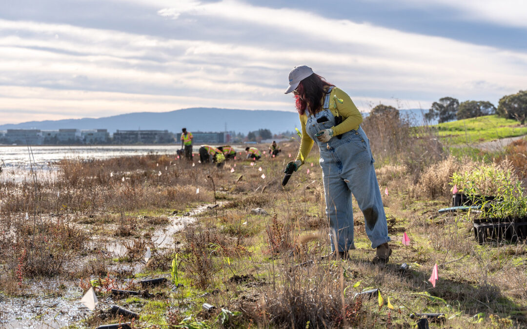 Plants Facilitate Transition to Higher Water