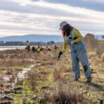 Plants Facilitate Transition to Higher Water