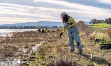 Plants Facilitate Transition to Higher Water