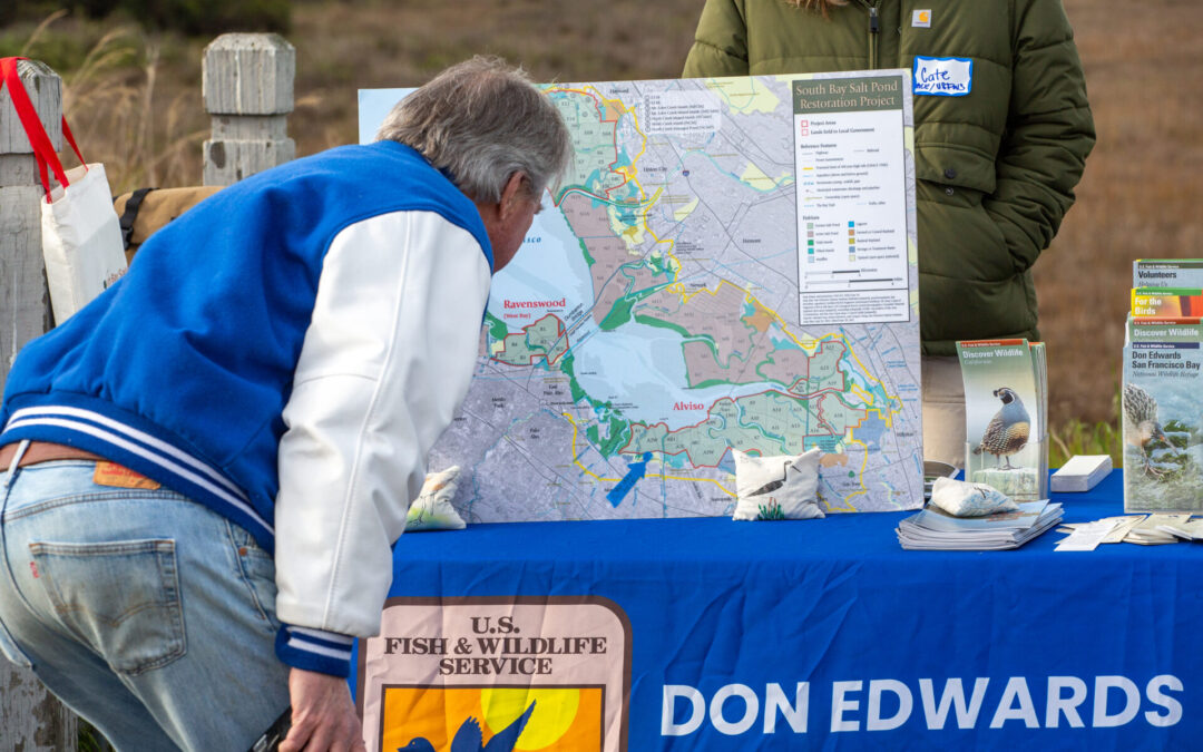 Mountain View’s Shoreline Gets Serious SLR Attention