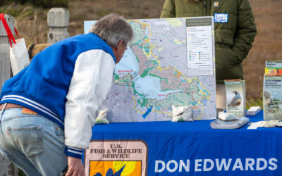 Mountain View’s Shoreline Gets Serious SLR Attention