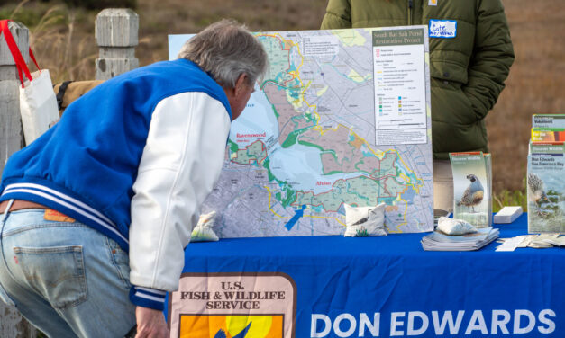 Mountain View’s Shoreline Gets Serious SLR Attention