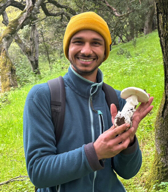 Meet the Oakland Biologist Making Native Plants Go Viral