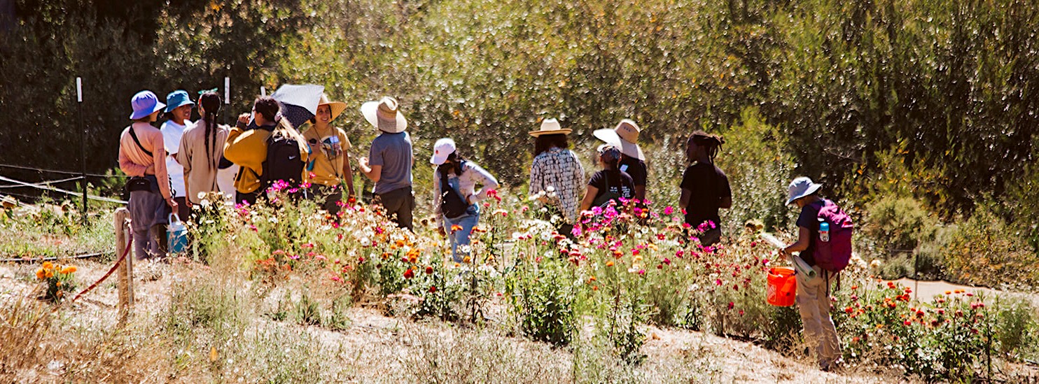 Un grupo de personas de pie en la granja.