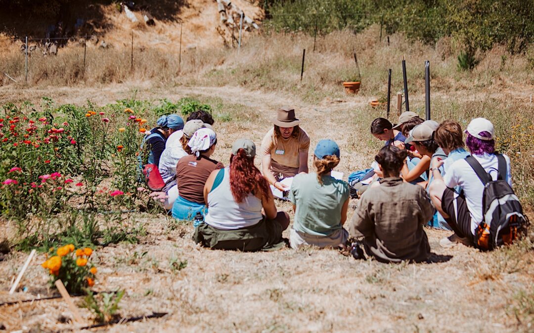 Entrenar futuros agricultores para que cultiven más que solo alimentos