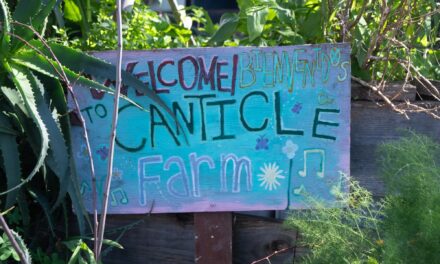 En Canticle Farm, la comida y la comunidad son las oraciones para un mundo mejor 