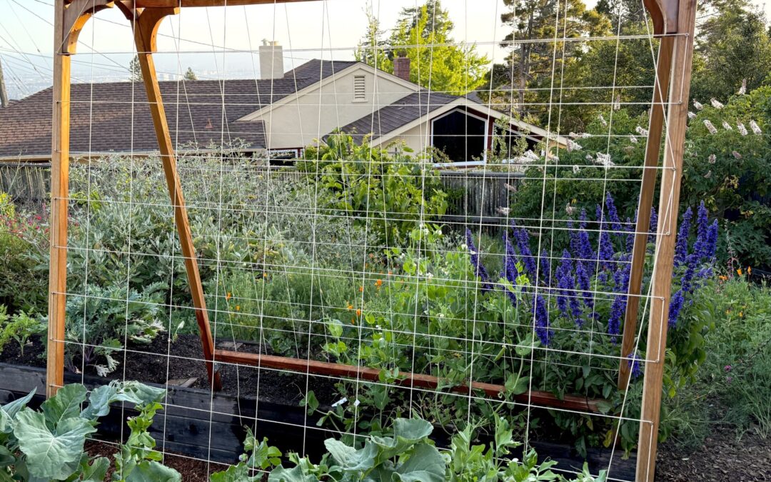 Verduras de primavera fáciles de cultivar en jardines pequeños